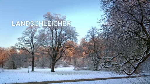 Landschleicher im Winter (Quelle: Grafik, rbb-Fernsehen)